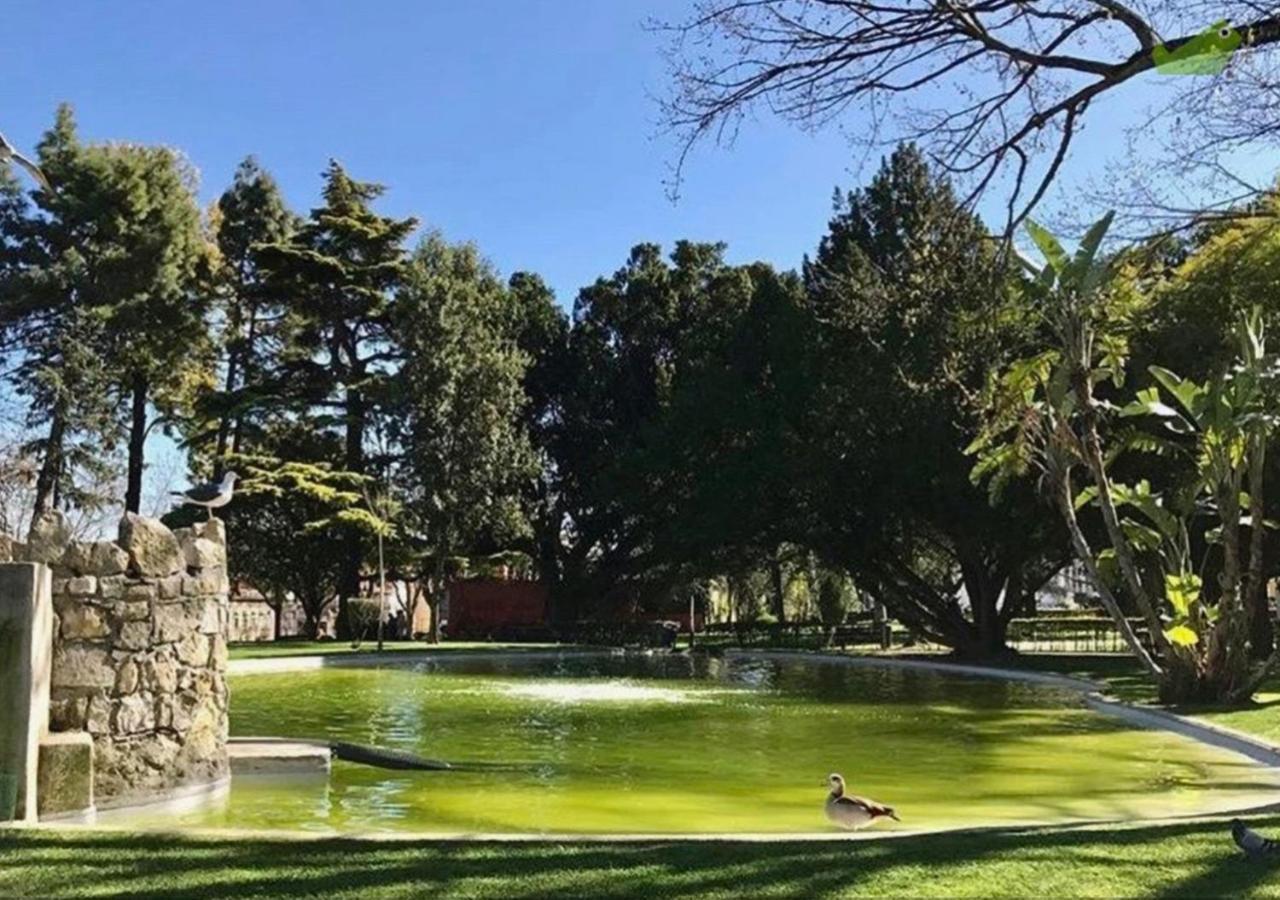 Lisbon Calling Rooms & Studio المظهر الخارجي الصورة